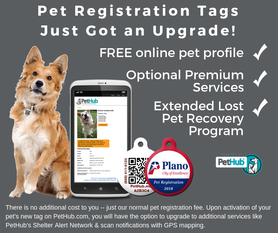 Customer Service Assistant | Plano, Texas | PetData